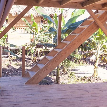 Samana Ecolodge El Limon Bagian luar foto